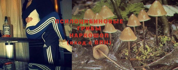 apvp Алексеевка