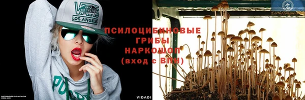 apvp Алексеевка