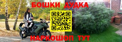 не бодяженный Лесосибирск