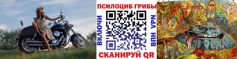 Галлюциногенные грибы прущие грибы  Железноводск 