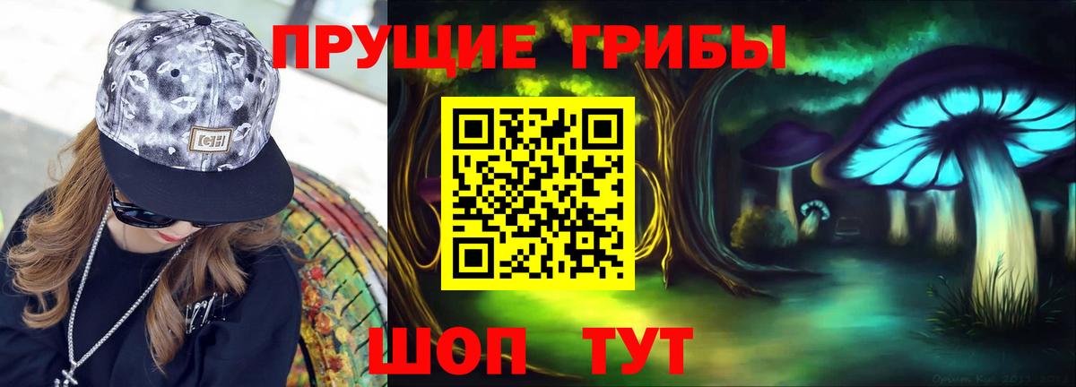 Железноводск  Галлюциногенные грибы прущие грибы  Вход с VPN  Псилоцибиновые грибы MAGIC MUSHROOMS 