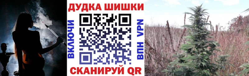 МАРИХУАНА гибрид Железноводск